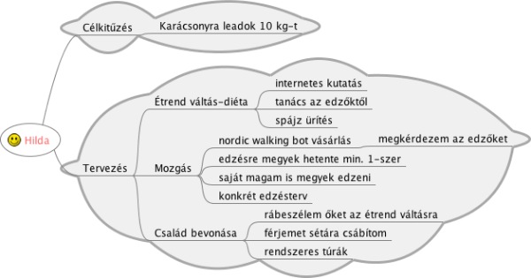 Post image for Nordic walking tervszerűen – Hilda kalandjai